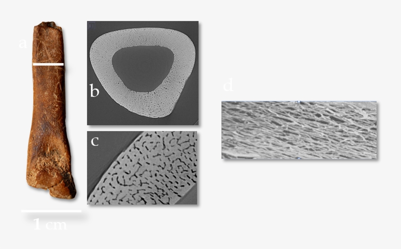 August 31-st, 2015 Image, transparent png download