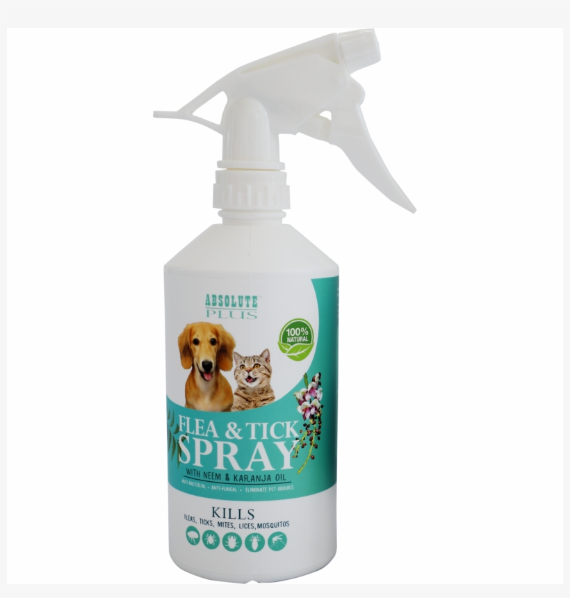 Sale, transparent png download