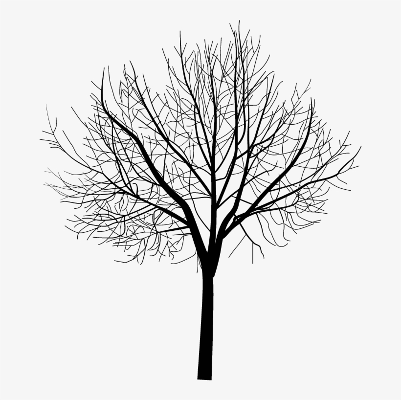 Arbre Hiver Png, transparent png download