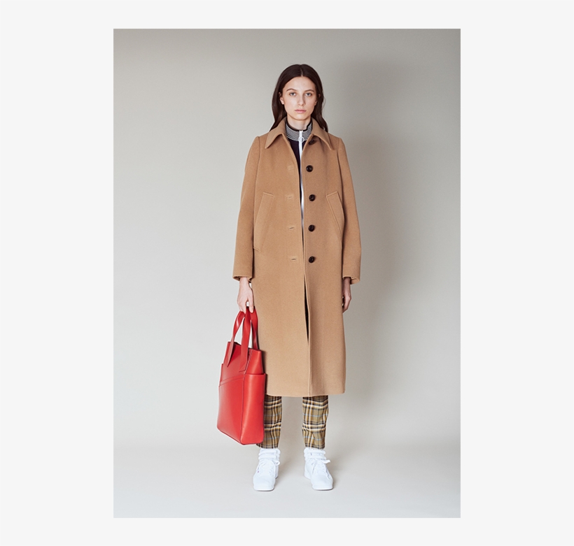 Baum Und Pferdgarten, transparent png download