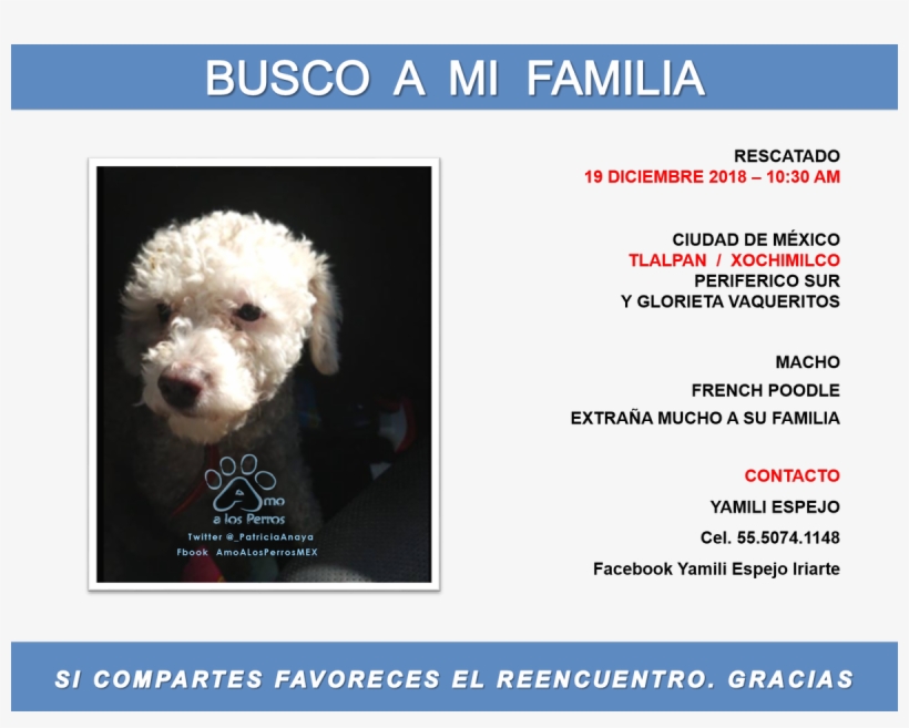 #sos #cdmx #tlalpan #xochimilco #glorietavaqueritos, transparent png download