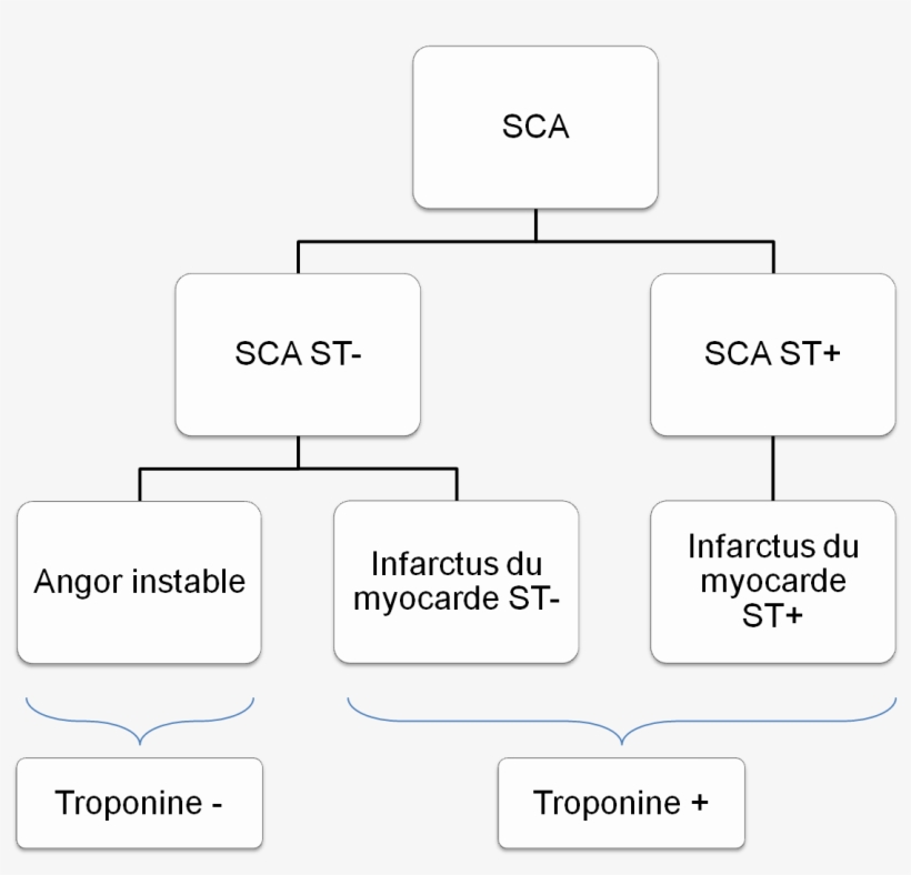 Arbre Diagnostique Syndrome Coronarien Aigu, transparent png download