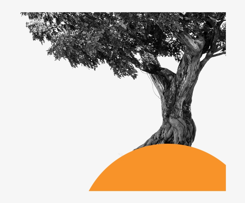 A Culture Bearing Values And Pillars On Which The Organisation, transparent png download