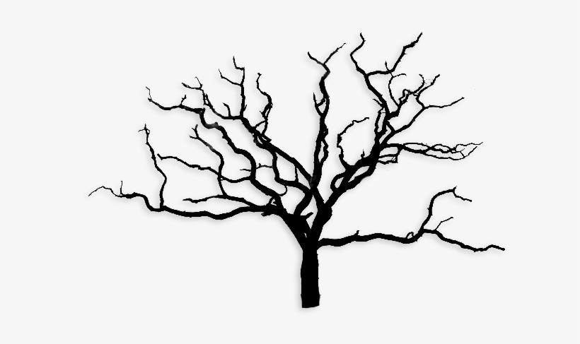 Arbre Sans Feuille Png, transparent png download