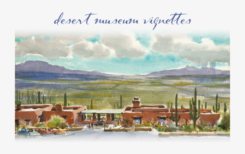 Desert Museum Vignettes - Arizona-sonora Desert Museum, transparent png download