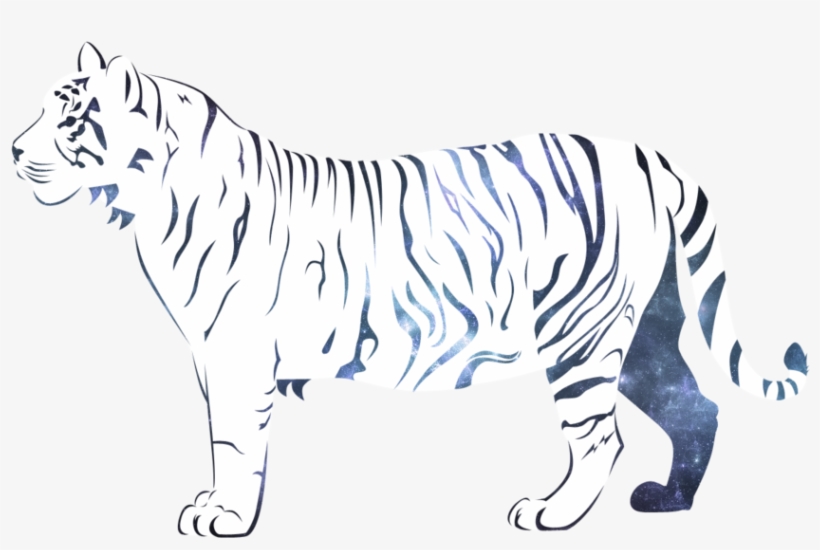 3 Kb, Backgrounds - White Tiger Vector Png, transparent png download