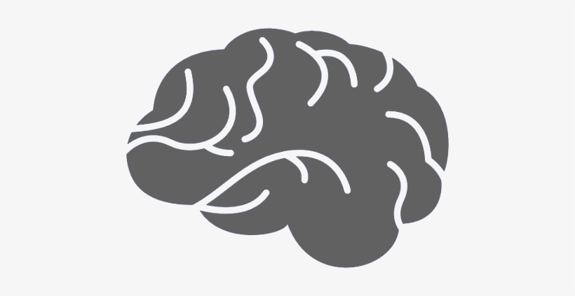 Brain-icon - Brain Icon Grey, transparent png download