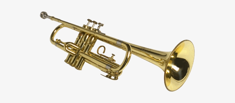 Trumpet Png, transparent png download