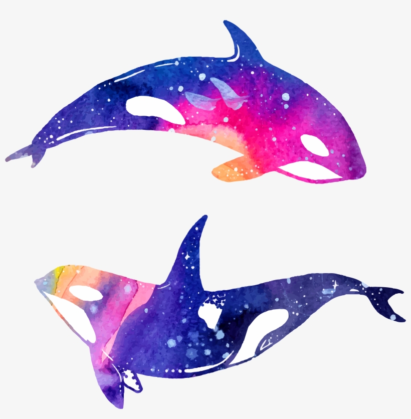 Dolphin Watercolor Painting Illustration - Dolphin Watercolor Png, transparent png download