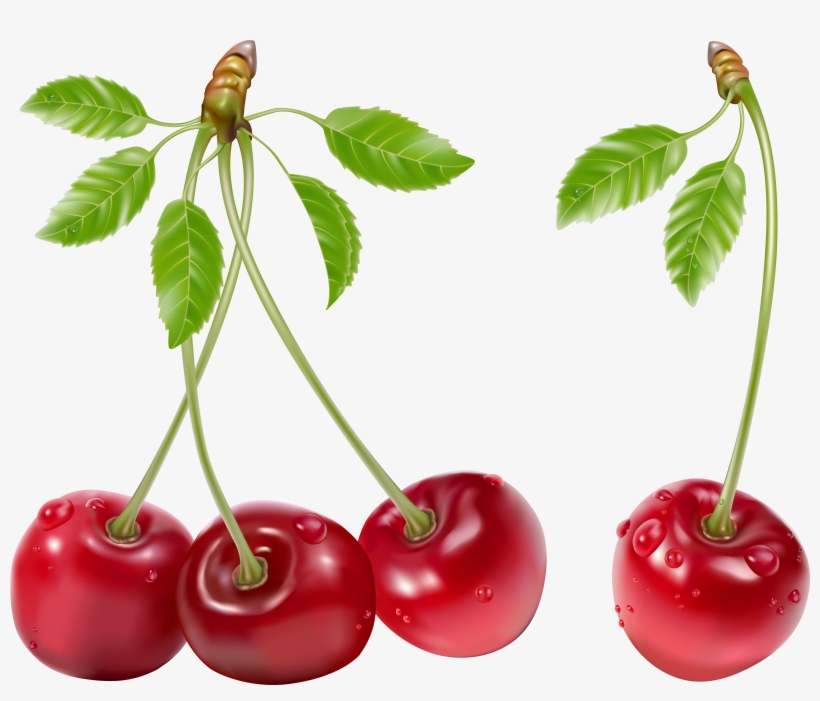 Cherry Png, transparent png download
