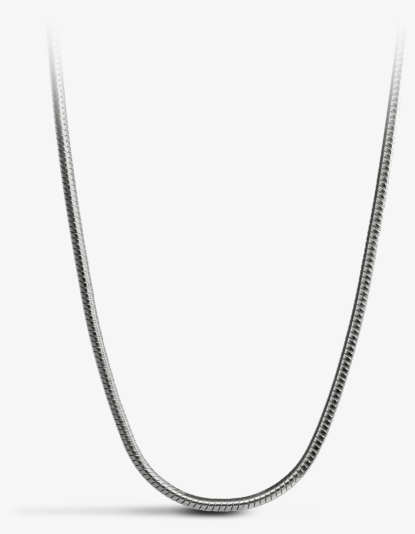 Beautiful Snake Chain To Match Davidrose Pendants - Necklace, transparent png download
