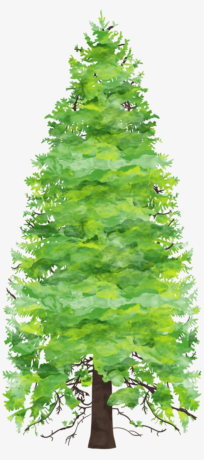 Forest Preschool & Kindergarten 2018-2019 - Child, transparent png download