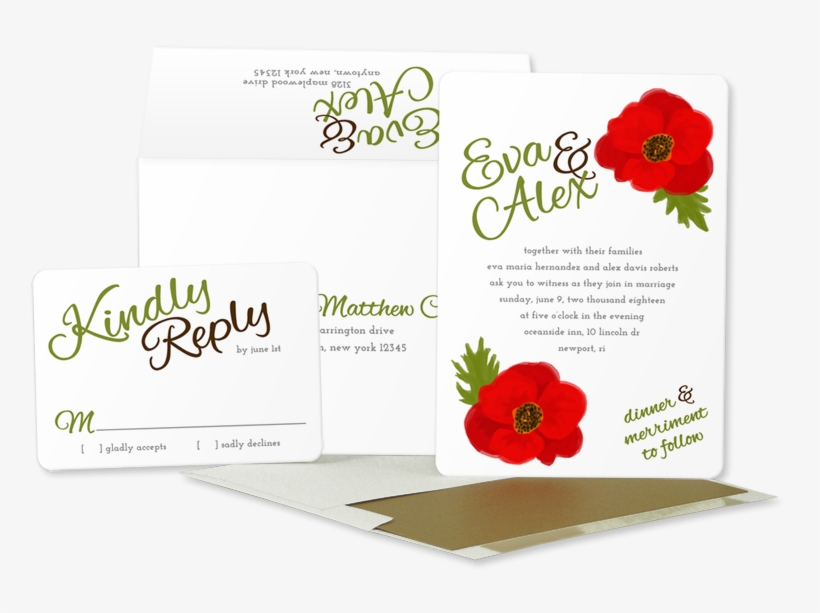 Gerbera, transparent png download