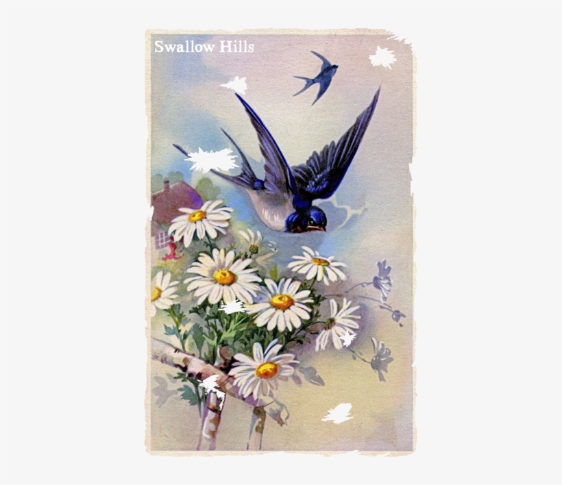 Swallow Hills Flag - Birds Design Vintage, transparent png download