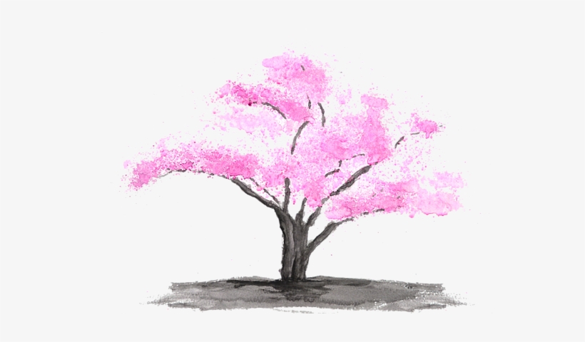 Bleed Area May Not Be Visible - Cherry Blossom, transparent png download