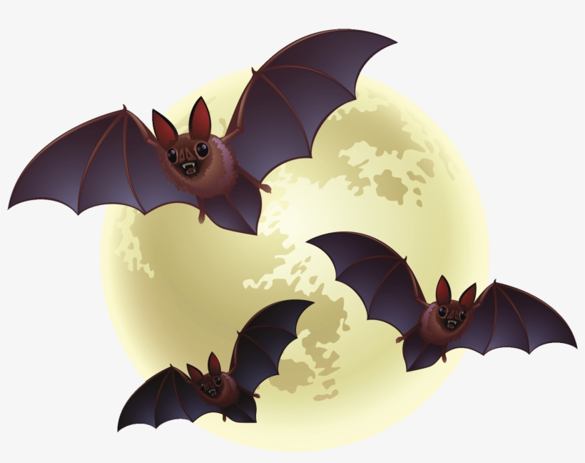 Creepy Bats Halloween - Transparent Halloween Png, transparent png download
