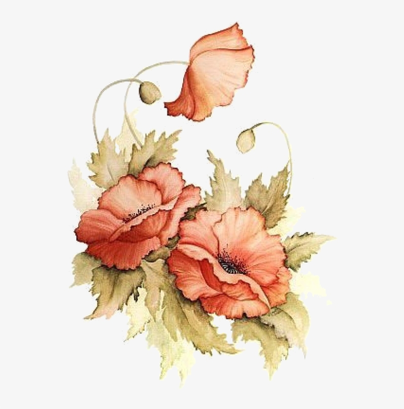 Poppies - Painted Flowers Png, transparent png download