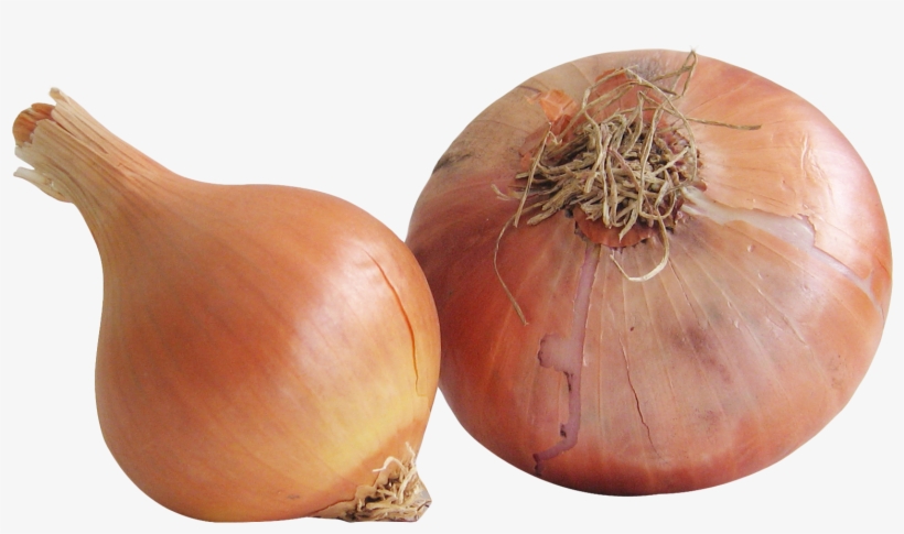 Fresh Onion Png, transparent png download