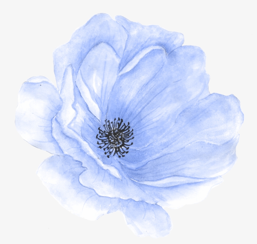 Watercolour - Clip Art, transparent png download