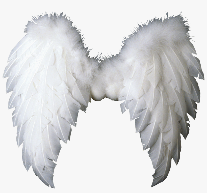 Free Png White Wings Png Images Transparent - Пнг Крылья, transparent png download