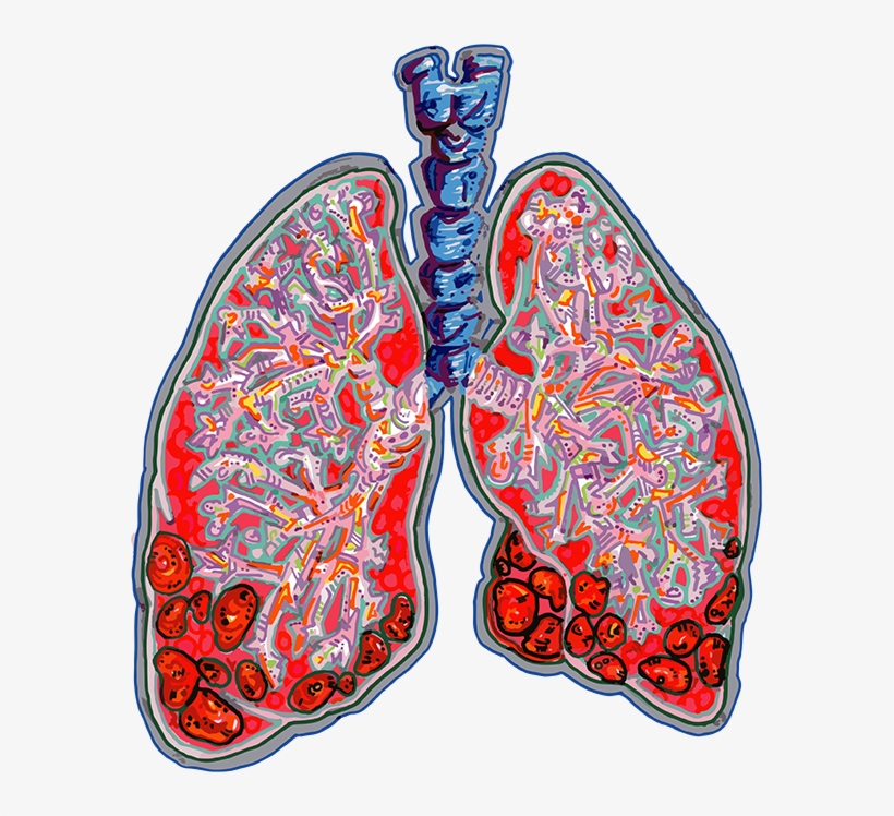 Drawing, transparent png download