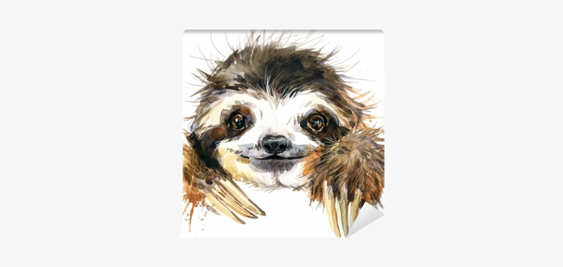 Watercolor Sloth Illustration - Watercolor Sloth, transparent png download