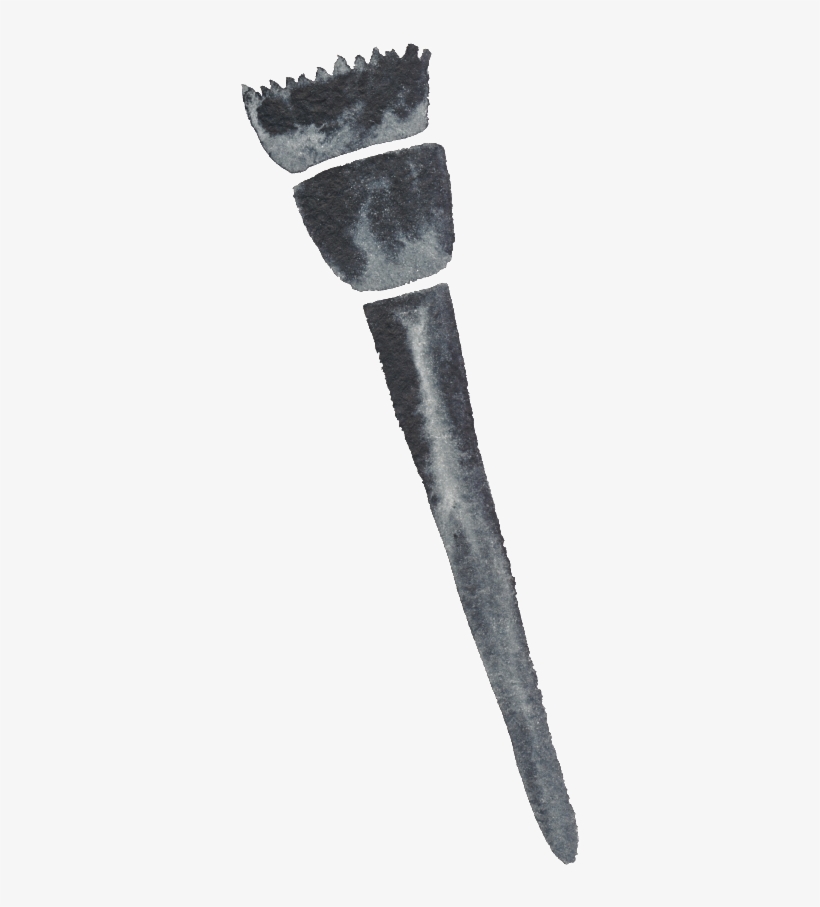 Water Color Brushes Black And White Watercolor Fashion - Calibre, transparent png download