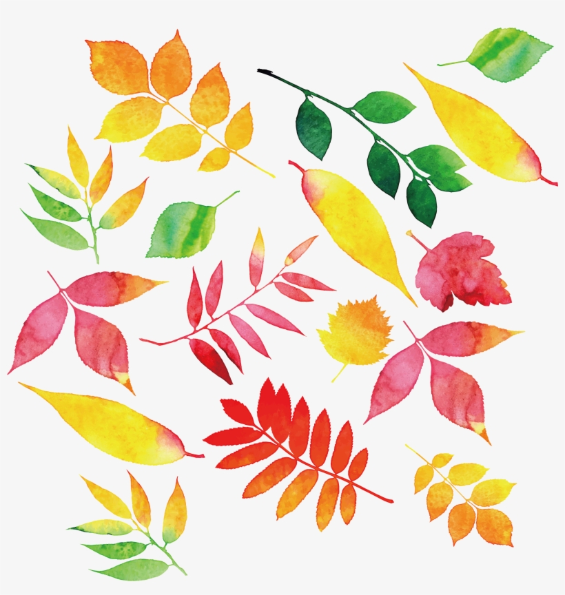 Svg Transparent Stock Autumn Leaf Color Transprent, transparent png download