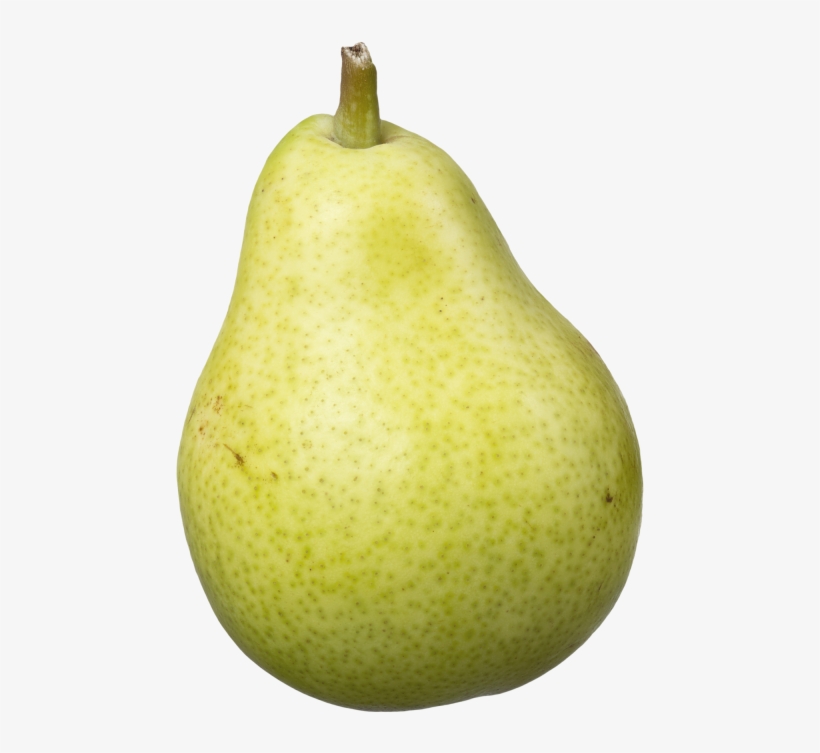 Pear Fruit Png Transparent Image Pear Png Transparent Png 500x702 Free Download On Nicepng