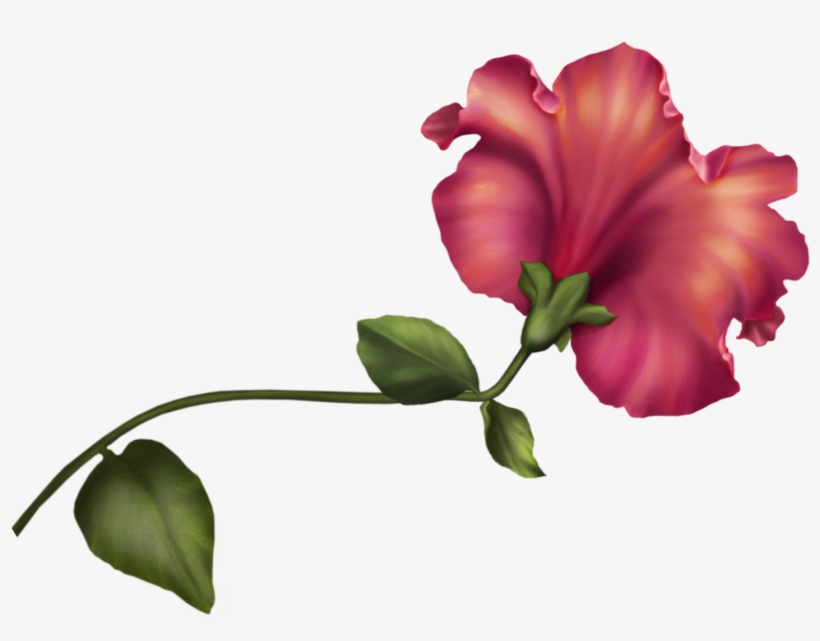 Png's Png Flowers Watercolor Flower Clip 1342 Art Vintage - Vintage Flower Clipart Png, transparent png download