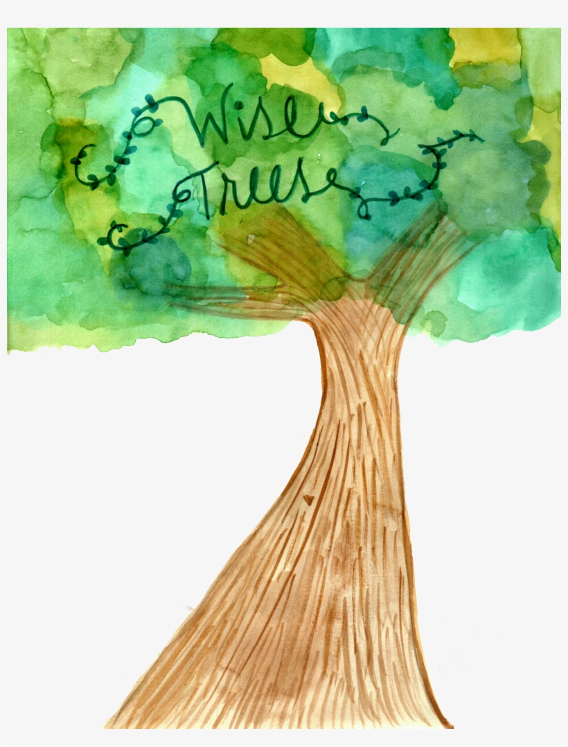 This Is The Tree I Feel Good About For The Cover Of - Book Cover, transparent png download