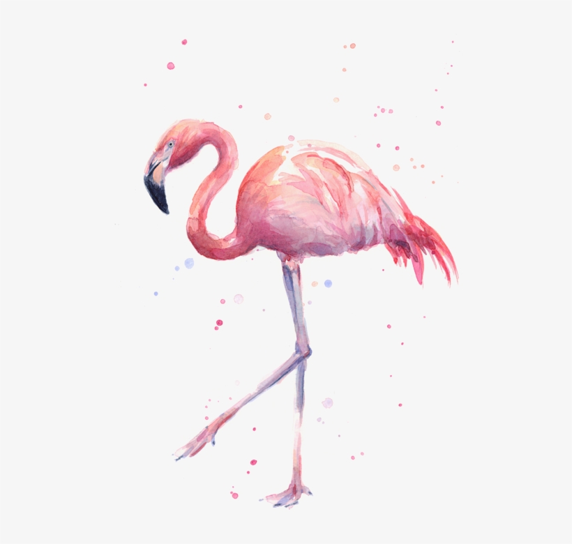 Click And Drag To Re-position The Image, If Desired - Watercolour Flamingo, transparent png download