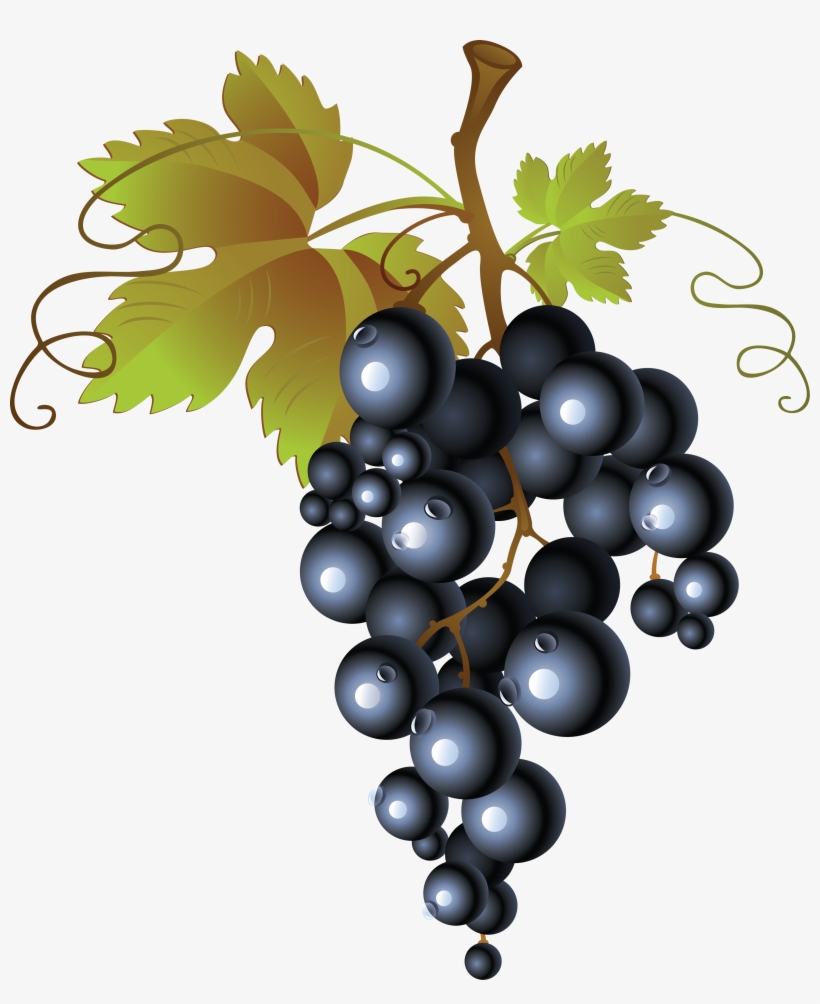 Picture Library Library Grape Png Image Free Picture - Grapes Clipart No Background, transparent png download