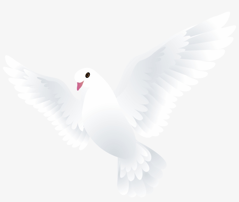 Doves Png, transparent png download
