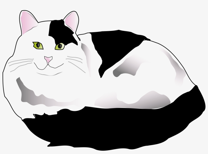 Graphic Transparent Clipart Black And White Cat - White And Black Cat Png, transparent png download