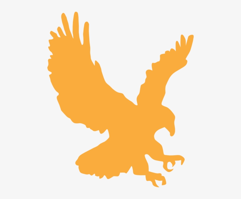 Gold Eagle - Cargo Wings Logistics Ltd, transparent png download