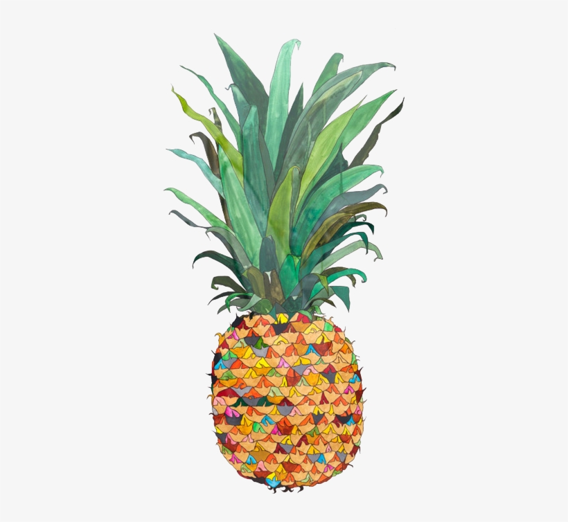 Explore Pineapple Print, Pineapple Pattern And More - Pineapple Drawing Png, transparent png download