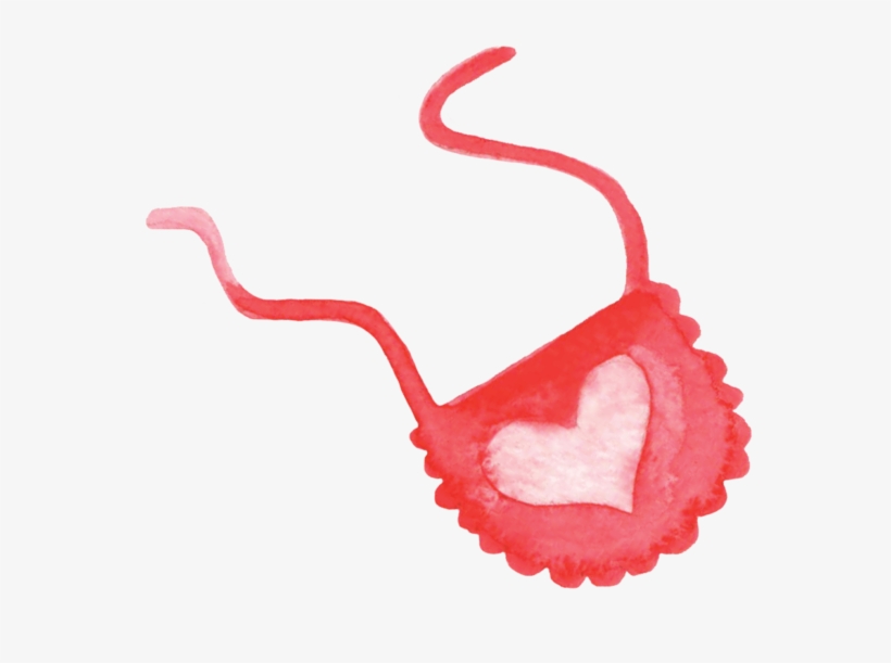 Baby Bib Clipart, transparent png download