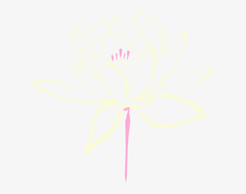 How To Set Use Pink Cream Lotus Clipart, transparent png download