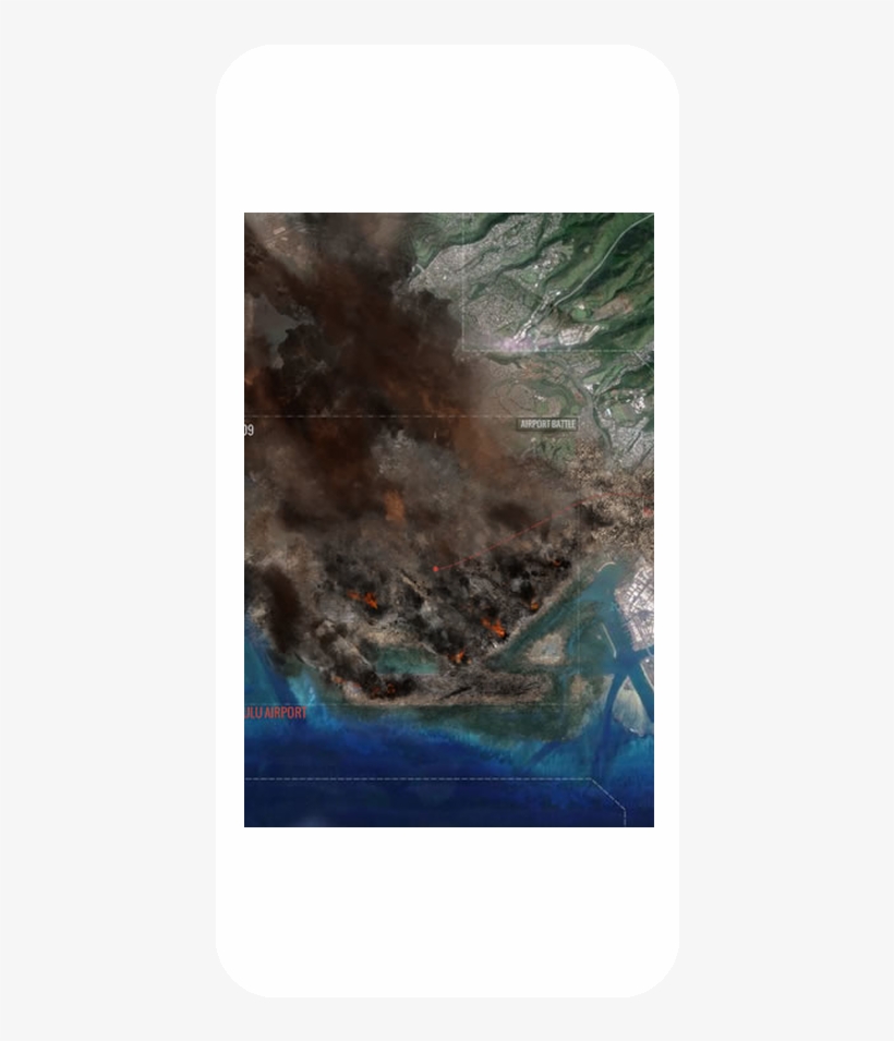 Coral, transparent png download