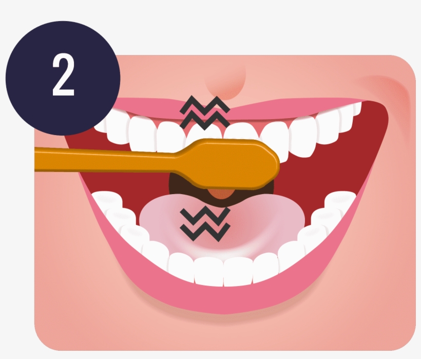 Brush Teeth Png Clip Freeuse Download - Brush Your Teeth Png, transparent png download