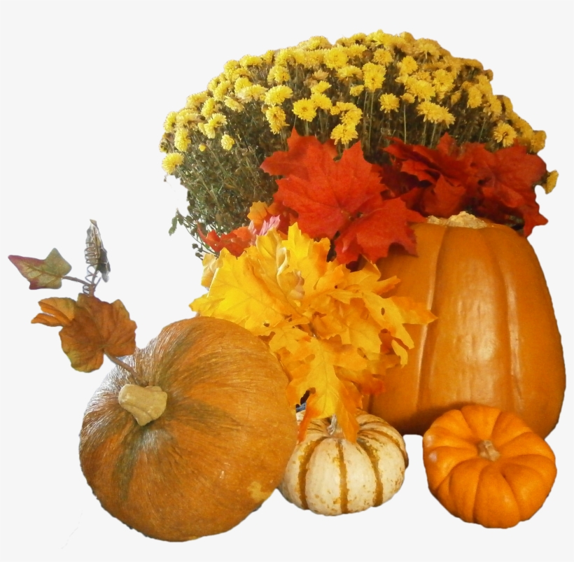 All Png Images Have A Transparent Background So They're - Thanksgiving Png Background Hd, transparent png download