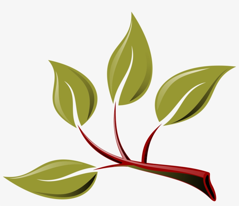 Branch Png Transparent Free Images - Rama Hoja, transparent png download