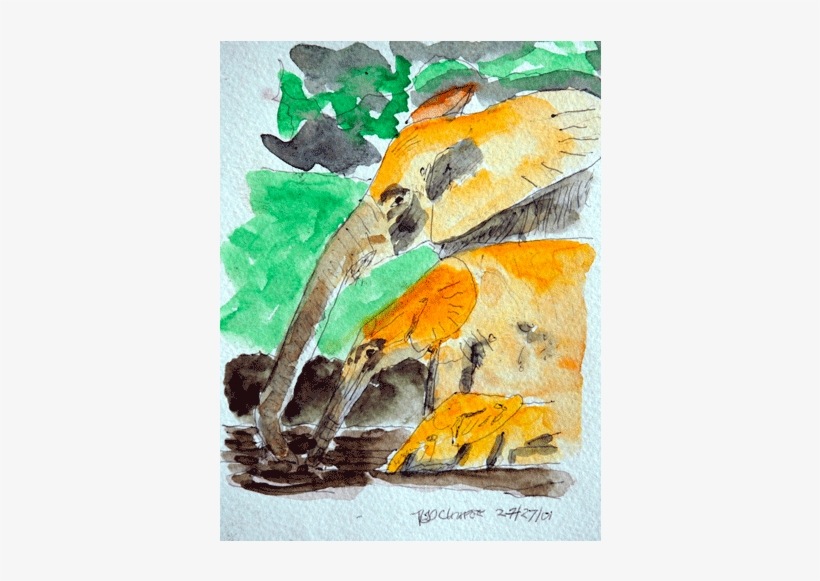 Watercolor Animal - Watercolor Paint, transparent png download