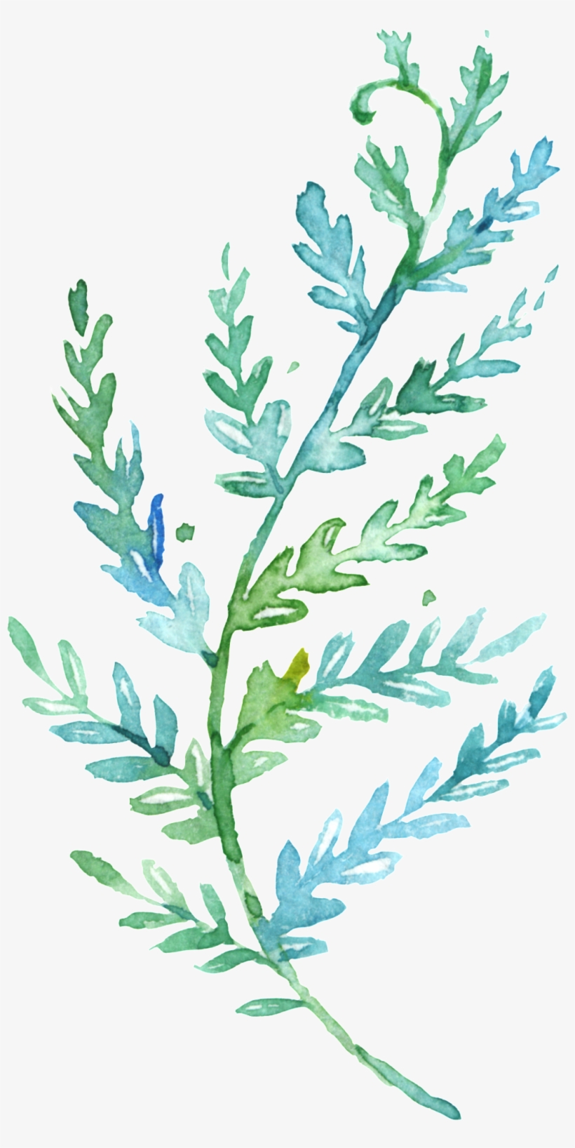 This Backgrounds Is Elegant Green Watercolor Branches - Garten-blumewatercolorwreath-hochzeits-karte Karte, transparent png download