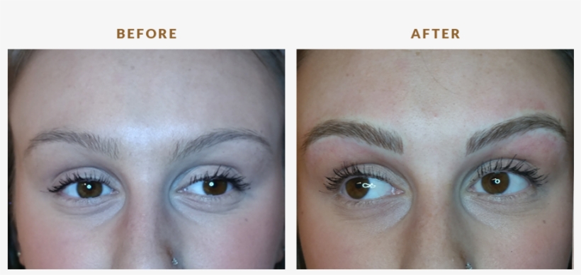 Micro4 - Portable Network Graphics, transparent png download