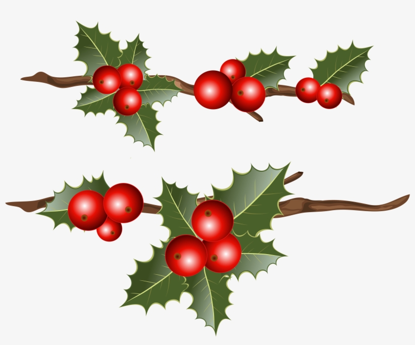 Christmas Berry Branch Clipart, transparent png download