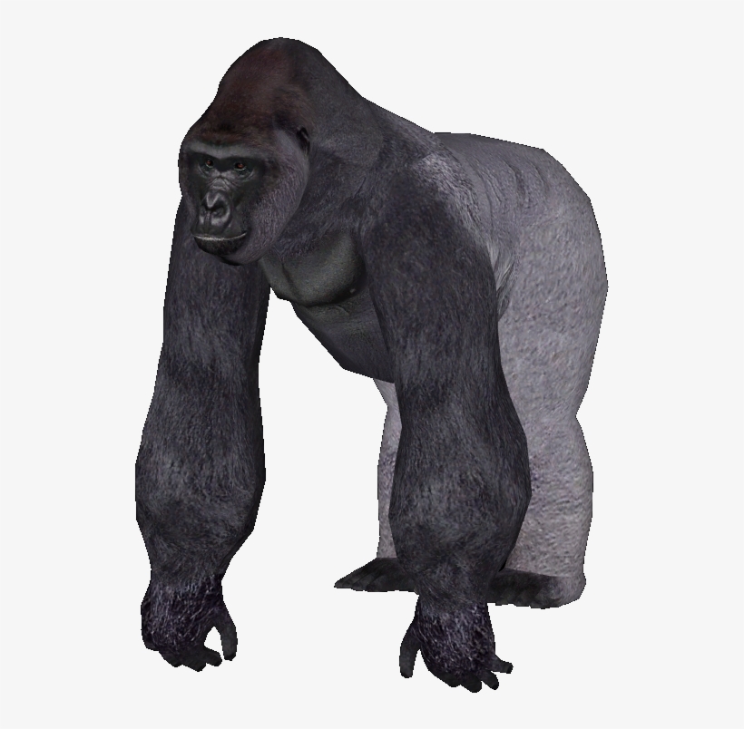 Gorilla - Zoo Tycoon 2 Gorilla, transparent png download