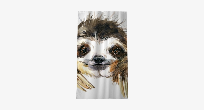 Watercolor Sloth Illustration - Watercolor Sloth, transparent png download