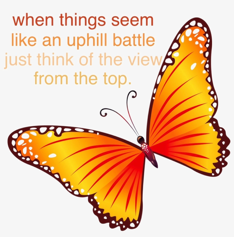 Monarch Butterfly Png Transparent Image - Clip Art Butterflie Transparent Background, transparent png download